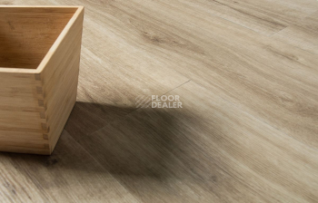 IVC Ultimo (Сlick) IVC Ultimo 24219N фото 6 | FLOORDEALER